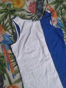 Color Block Sleeveless Mini Dress