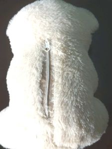 Teddy bear