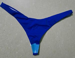 Vibrant Blue Bikini Bottom