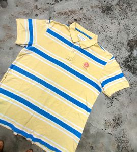 U.S.P.A Striped Polo T-Shirt