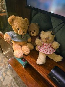 Cute Teddy Bear Plush Toys