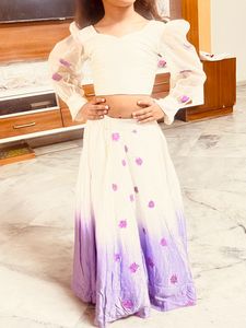 Handpainted Full Flared Choli
