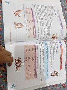 Middle School English Grammar &amp; Composition