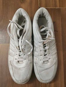 Sparx Men's Mesh White Sneakers