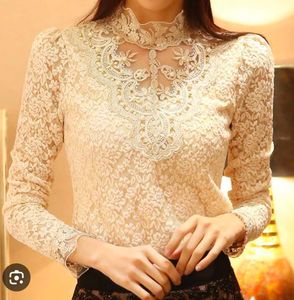 Elegant Lace High Neck Blouse