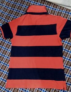 T-shirt 👕