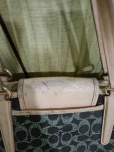 Coach Signature Print Tote Bag