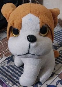 It's Toy Dog
