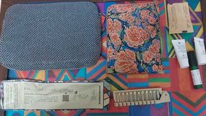 Air Frace airline kit