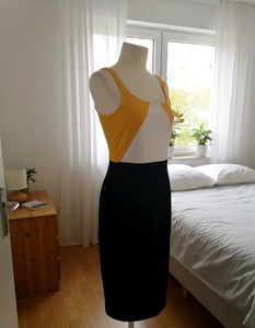 Zara Chic Color Block Bodycon Dress