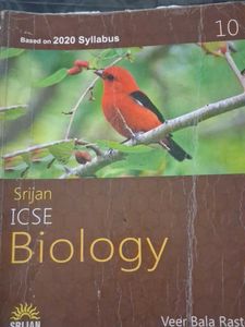 ICSE Class 10 Textbooks Bundle - 8 Books - 2019