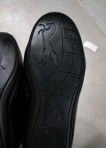 Ferragamo Black Loafers