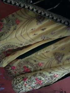 New Sharara Suiting Green Colour