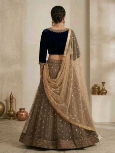 Elegant Sequined Lehenga Choli Set