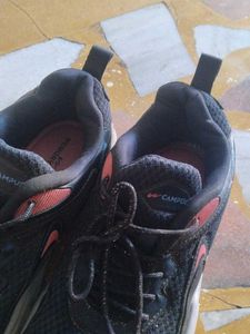 Campus Sports Shoes