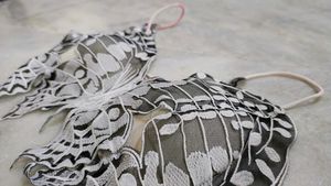 Unique Butterfly Wing Bra