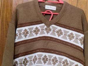 Men's Casual V-Neck Sweater