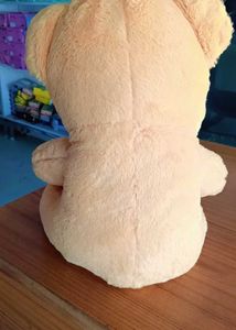 Cute Teddy Bear