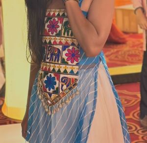 Blue Striped Lehenga Choli with Elephant Print