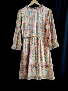 Women Multicolor Printed Dress