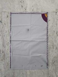 Meesho Barcoded Polybags Pack of 25