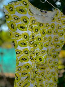 Kiwi Print Dress