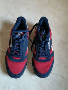 Reebok Sneakers