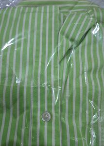 Ralph Lauren Striped Polo Green Casual Shirt