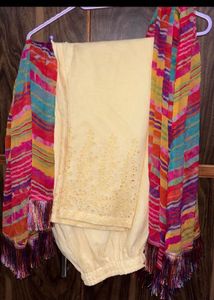 Set of 2 Beautiful Pakistani suit