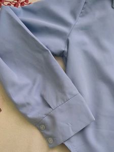 Savana office siren fitted cropped shirt