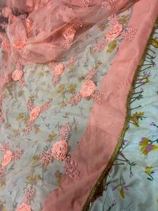 Peach Tulle Dupatta with Floral Embellishments