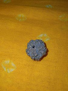 For health & wealth Rudraksha Bead (1piece)