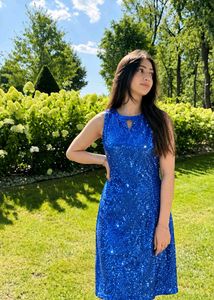 Stunning Blue Sequin Party Dress