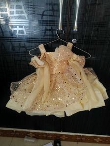 Sparkly Party Dress for first birthday
