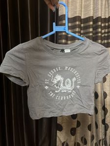 Grey Dragon Graphic Cropped T-Shirt