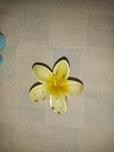 Flower Hair Clips (Set of 2)