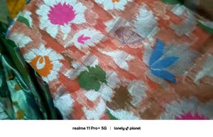 Elegant Floral Pattern  brasso saree