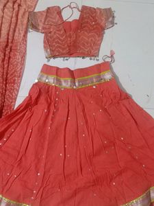 Traditional Indian Lehengacholi Set