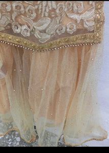 bust 40 Elegant Beige Net Embroidered Suit