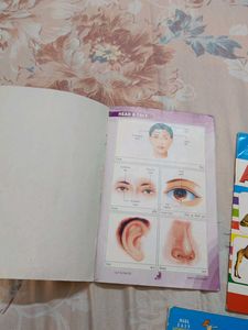 Set of 5 Cut &amp; Paste Chart Books for Kids