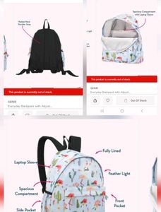 Flamingo Back Pack