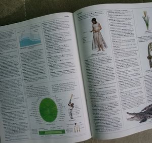Dictionary