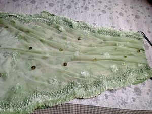 Green Embellished Net Dupatta