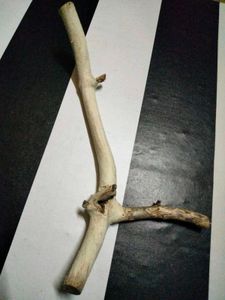 Natural Driftwood Branches &amp; Roots