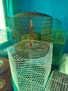 Parrot Cage ( Pijara)