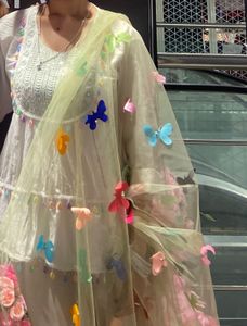 Beautiful Butterfly Embellished Dupatta
