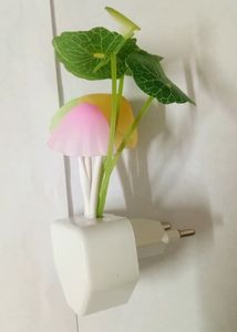 🆕 Wall Lamp Multicolour Light (pack of 1)