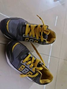 Sale! Comfortable Sneakers
