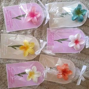 beautiful claw clips (set of 6) best for gifting