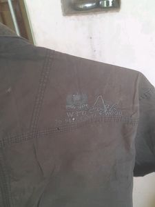 Cotton Shirts